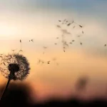 Stage au cœur du souffle